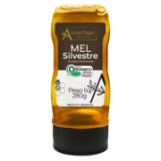Mel bisnaga Orgânico 280g