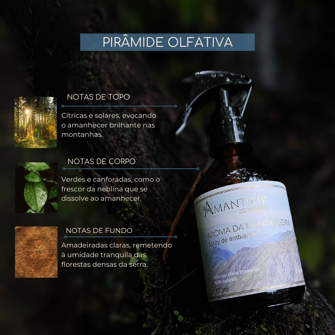 Spray de Ambiente Aroma da Mantiqueira - Imagem 2